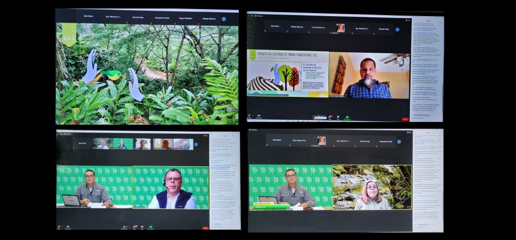 primer_dia Pantallazos del primer dia